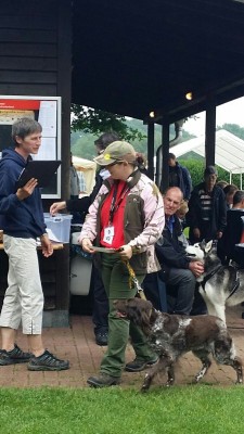 IMG-20160529-WA0003