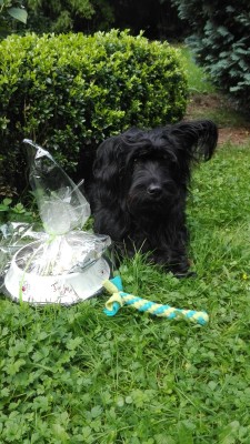 IMG-20160814-WA0000