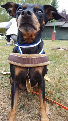 IMG-20161010-WA0000
