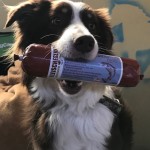 Marrlu_Kaufungen_2017