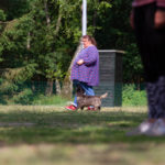 Kleiner Hund ganz groß
