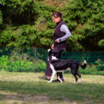 Übergang Laufschritt-Langsamschritt